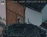 Capi_Dubne_20250326_183503.jpg