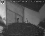 Capi_Dubne_20250326_184503.jpg