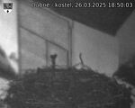 Capi_Dubne_20250326_185003.jpg
