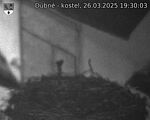 Capi_Dubne_20250326_193003.jpg