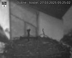 Capi_Dubne_20250327_052502.jpg