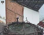 Capi_Dubne_20250327_064002.jpg