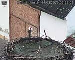 Capi_Dubne_20250327_065502.jpg