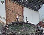 Capi_Dubne_20250327_073503.jpg
