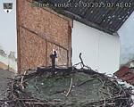 Capi_Dubne_20250327_074002.jpg
