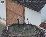 Capi_Dubne_20250327_075503.jpg