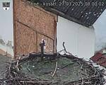 Capi_Dubne_20250327_080002.jpg