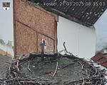 Capi_Dubne_20250327_083503.jpg