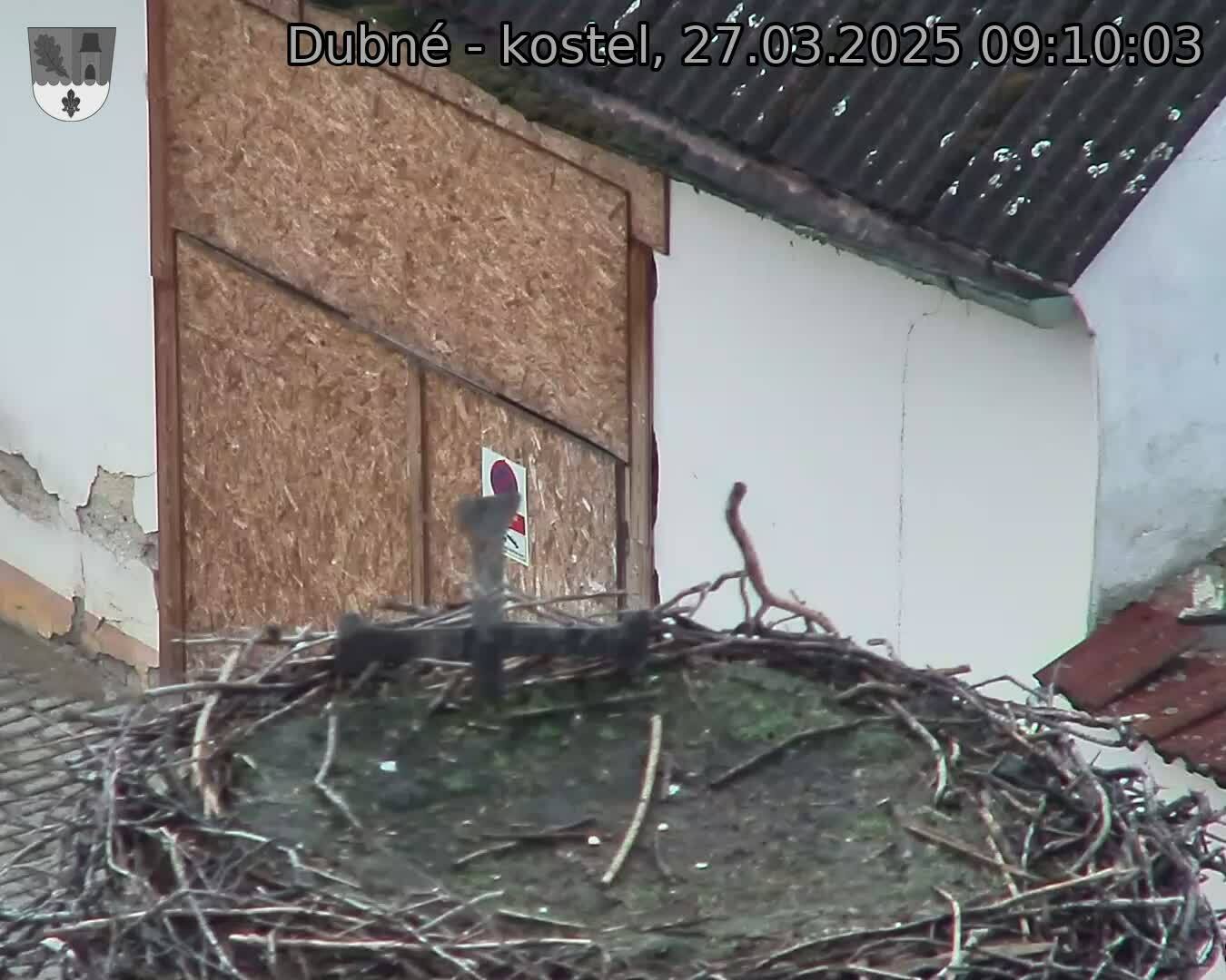 Capi_Dubne_20250327_091003.jpg (1350 x 1080)