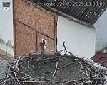 Capi_Dubne_20250327_130002.jpg