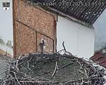 Capi_Dubne_20250327_130503.jpg