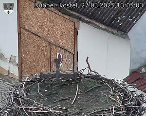Capi_Dubne_20250327_130503.jpg (1350 x 1080)