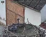 Capi_Dubne_20250327_153503.jpg
