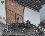 Capi_Dubne_20250327_154002.jpg
