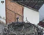 Capi_Dubne_20250327_160004.jpg