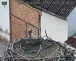 Capi_Dubne_20250327_160502.jpg