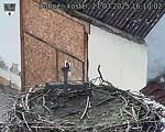 Capi_Dubne_20250327_161002.jpg