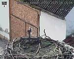 Capi_Dubne_20250327_161504.jpg