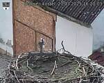 Capi_Dubne_20250327_162003.jpg
