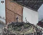 Capi_Dubne_20250327_162503.jpg