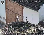 Capi_Dubne_20250327_164002.jpg