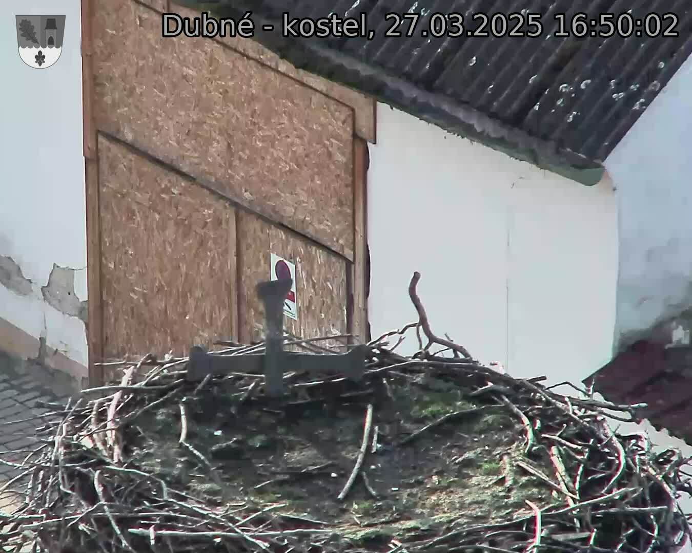 Capi_Dubne_20250327_165002.jpg (1350 x 1080)