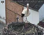 Capi_Dubne_20250327_170003.jpg