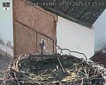 Capi_Dubne_20250327_171503.jpg
