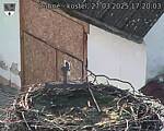 Capi_Dubne_20250327_172003.jpg