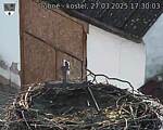 Capi_Dubne_20250327_173003.jpg
