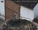 Capi_Dubne_20250327_173504.jpg