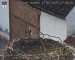 Capi_Dubne_20250327_174002.jpg