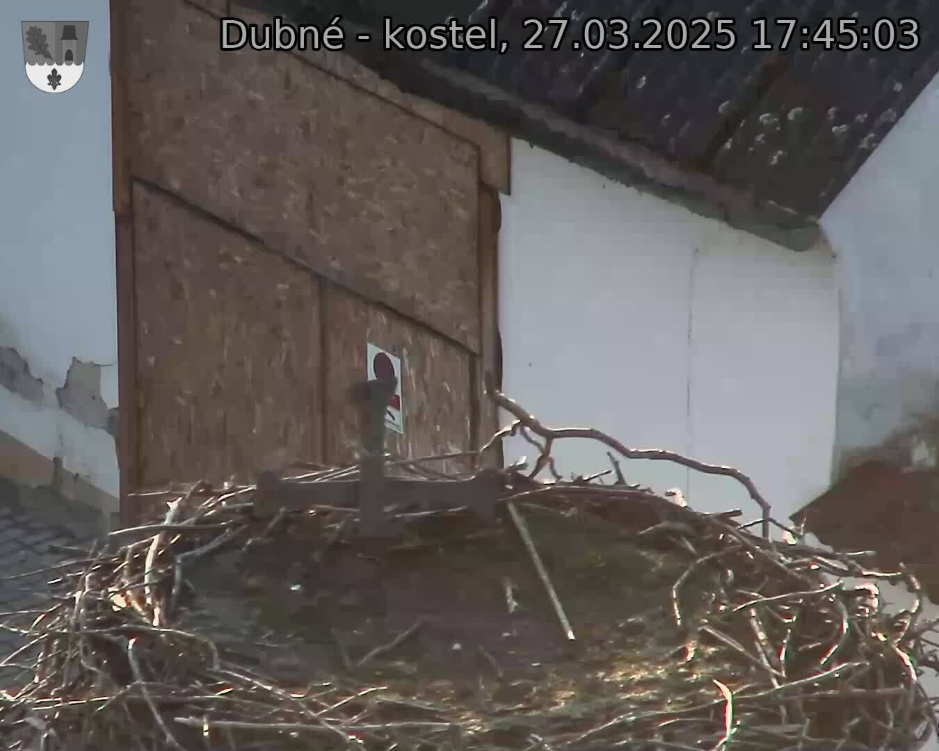 Capi_Dubne_20250327_174503.jpg (1350 x 1080)