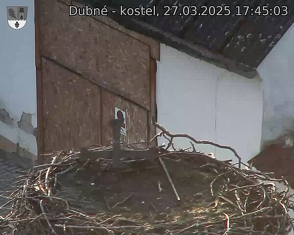 Capi_Dubne_20250327_174503.jpg (1350 x 1080)