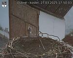 Capi_Dubne_20250327_175003.jpg