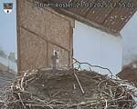 Capi_Dubne_20250327_175502.jpg