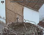 Capi_Dubne_20250327_180504.jpg