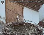 Capi_Dubne_20250327_181003.jpg