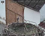 Capi_Dubne_20250327_181502.jpg