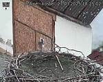 Capi_Dubne_20250327_182502.jpg