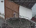 Capi_Dubne_20250327_183003.jpg