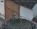 Capi_Dubne_20250327_184003.jpg