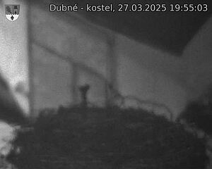 Capi_Dubne_20250327_195503.jpg (1350 x 1080)