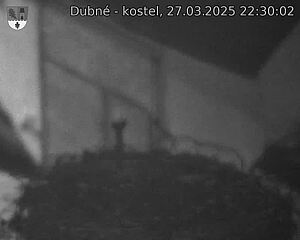 Capi_Dubne_20250327_223003.jpg (1350 x 1080)
