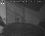 Capi_Dubne_20250328_004003.jpg