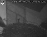 Capi_Dubne_20250328_005002.jpg