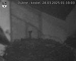 Capi_Dubne_20250328_011003.jpg