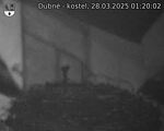 Capi_Dubne_20250328_012002.jpg