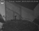 Capi_Dubne_20250328_032502.jpg