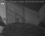 Capi_Dubne_20250328_041502.jpg